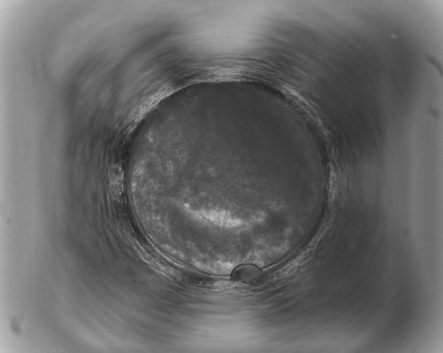 X0000102481449200809051345