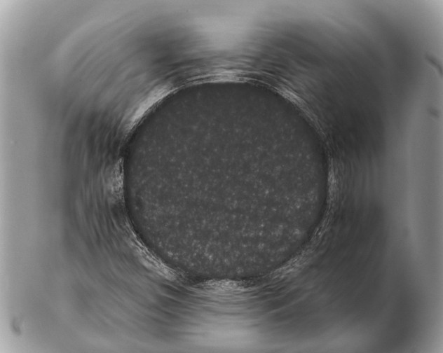 X0000102481450200809051345