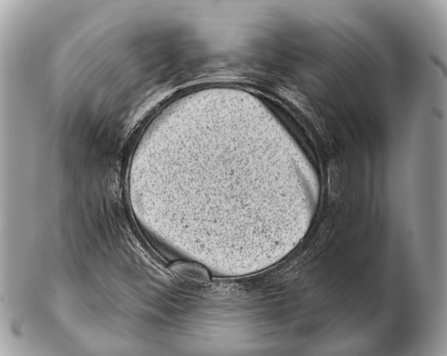 X0000102481452200809051345