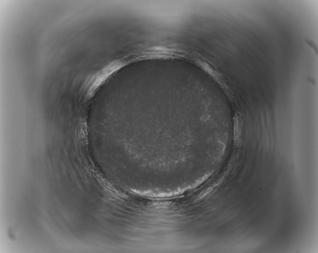 X0000102481453200809051345