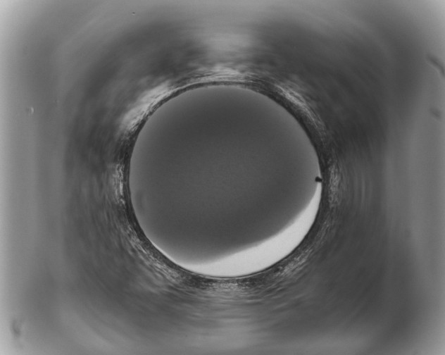 X0000102481455200809051345