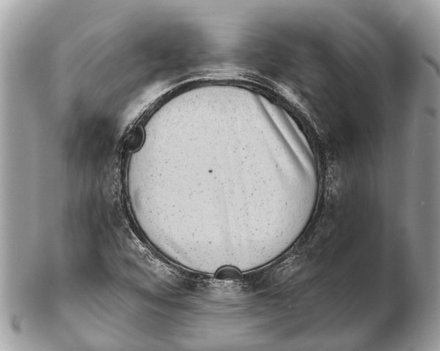 X0000102481456200809051345