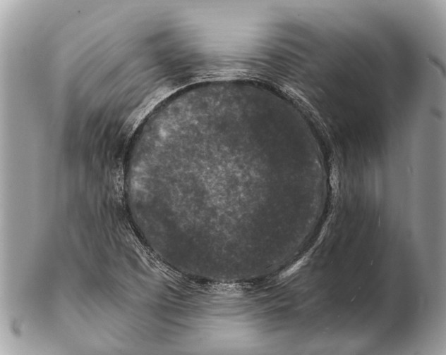 X0000102481457200809051345