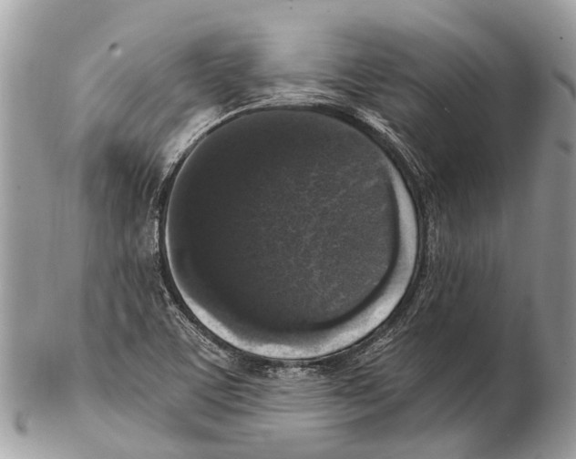 X0000102481459200809051345