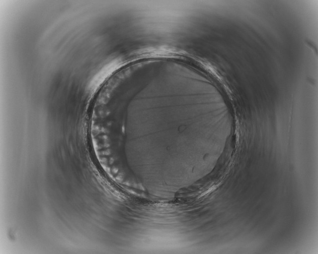 X0000102481463200809051345