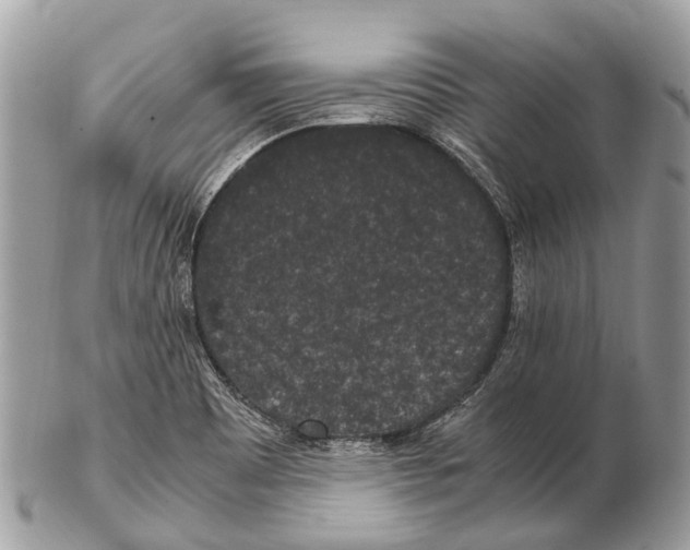 X0000102481465200809051345