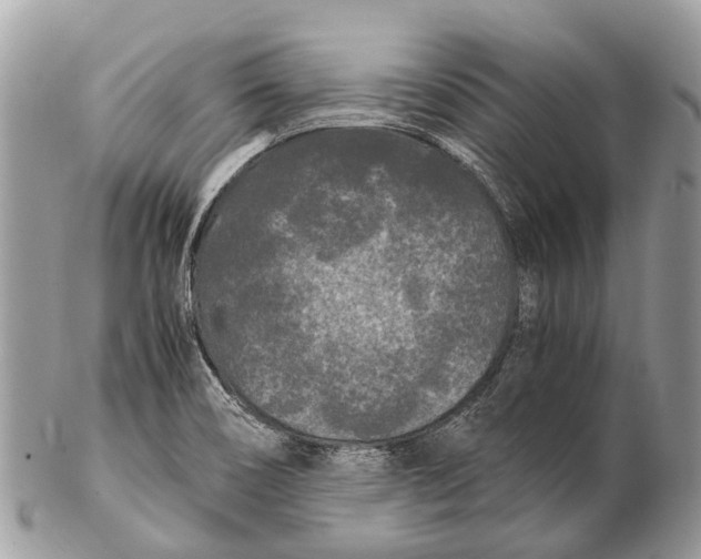 X0000102481466200809051345