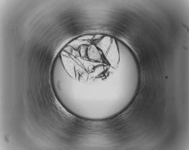 X0000102481468200809051345