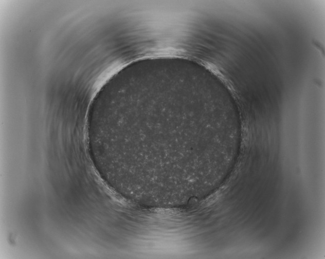 X0000102481469200809051345