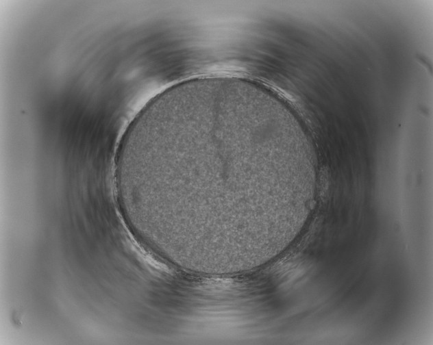 X0000102481470200809051345