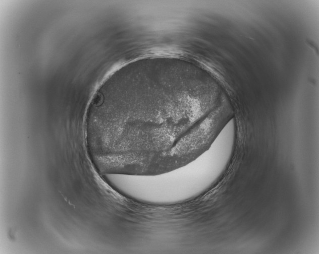 X0000102481471200809051345