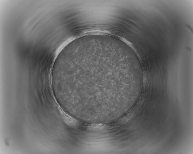 X0000102481474200809051345