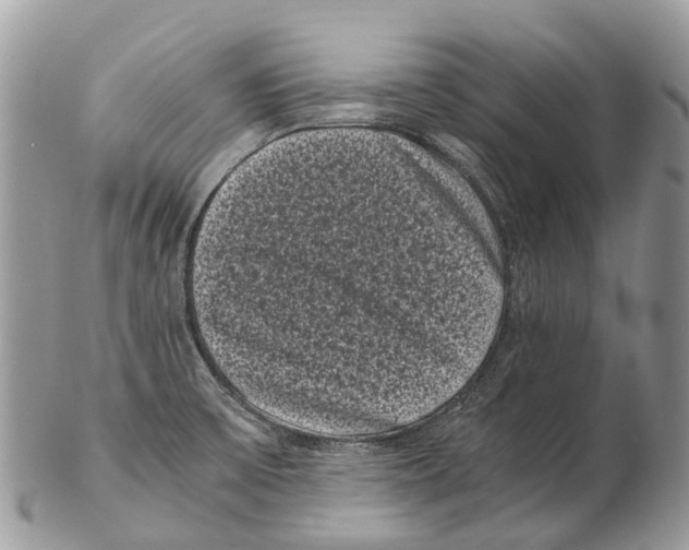 X0000102481475200809051345