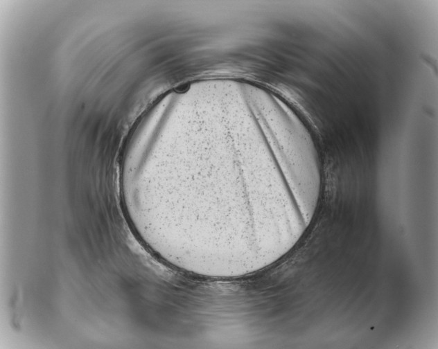 X0000102481476200809051345