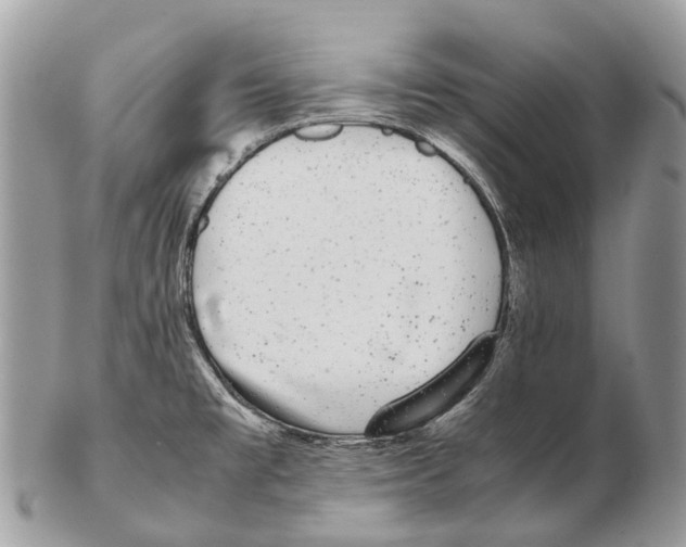 X0000102481477200809051344