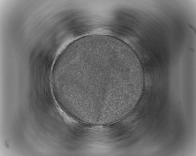 X0000102481478200809051344