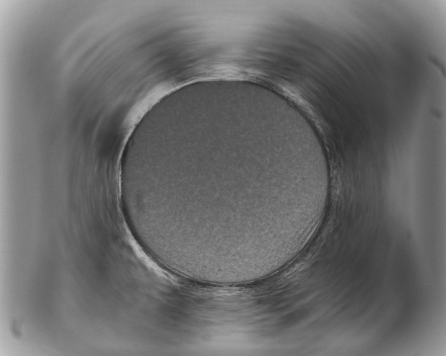 X0000102481479200809051344