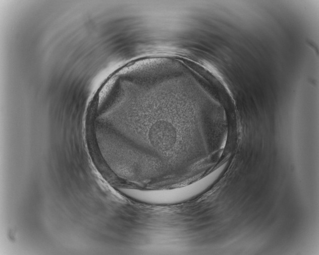 X0000102481480200809051344