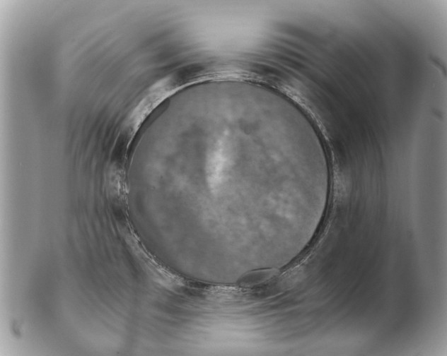 X0000102481481200809051344