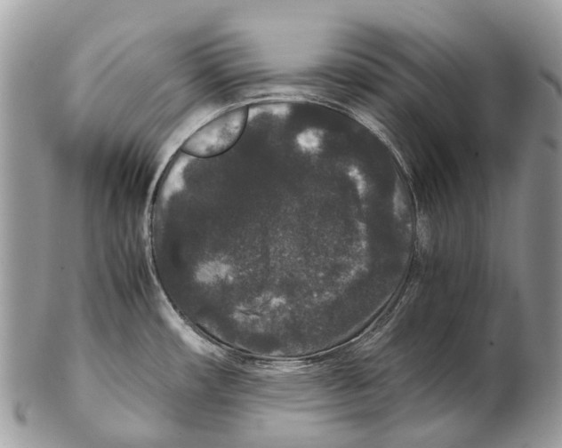 X0000102481482200809051344