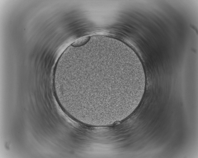 X0000102481483200809051344