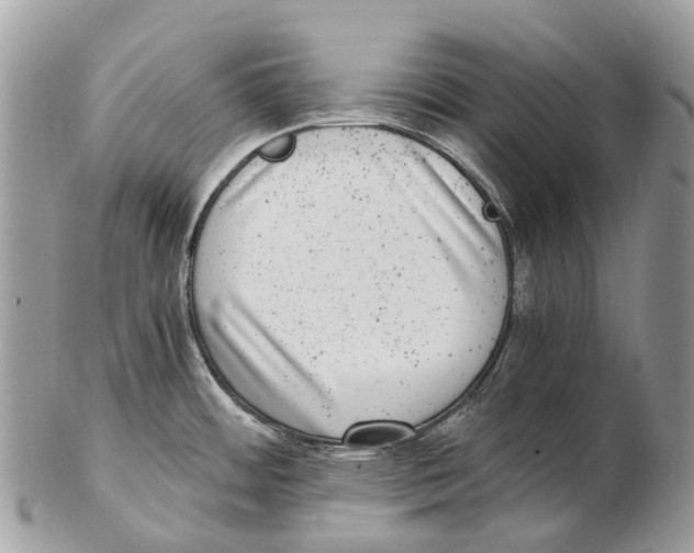 X0000102481484200809051344