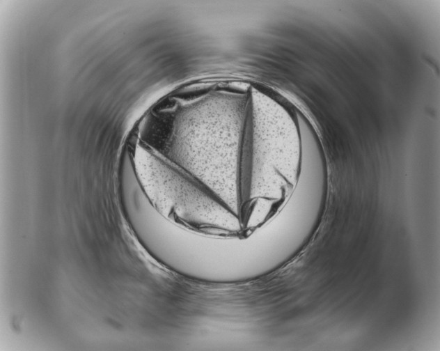 X0000102481485200809051344