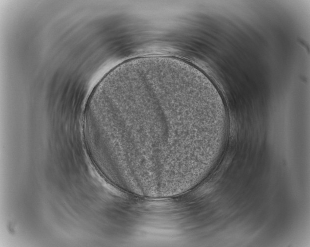 X0000102481486200809051344