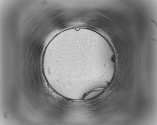 X0000102481488200809051344