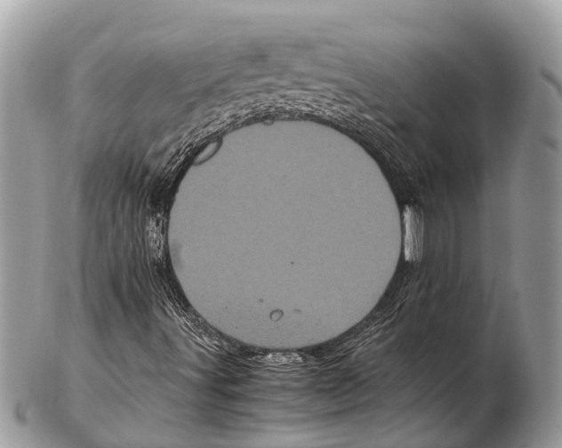 X0000102481491200809051344