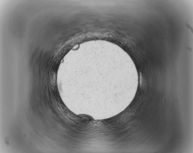 X0000102481492200809051344