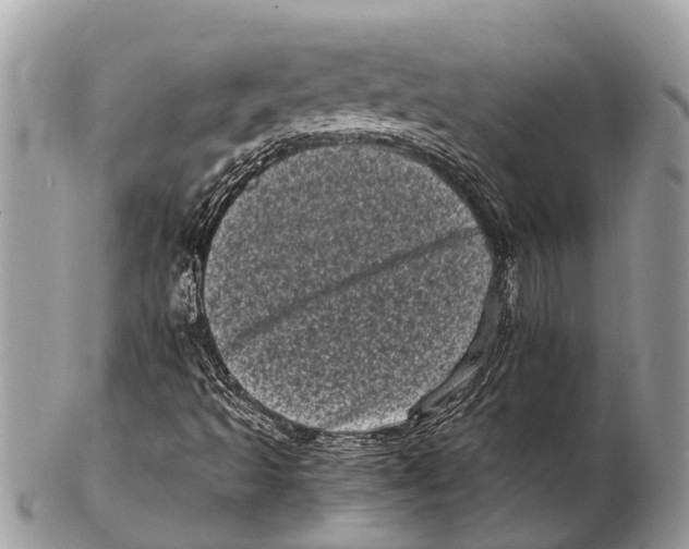 X0000102481493200809051344