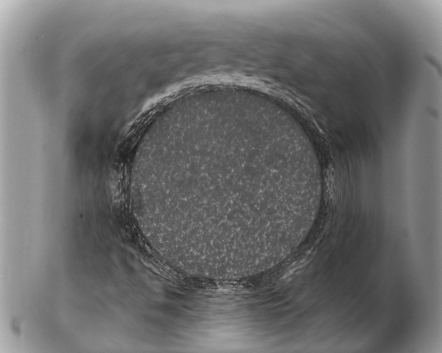 X0000102481494200809051344