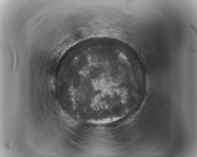 X0000102481497200809051344