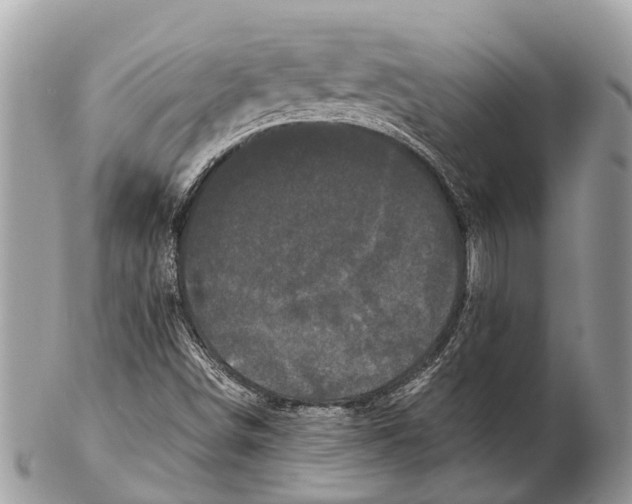 X0000102481498200809051344