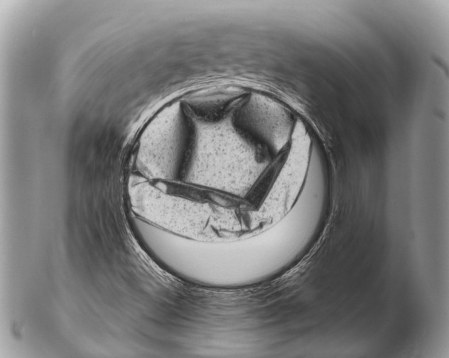 X0000102481500200809051344