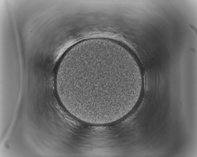 X0000102481501200809051344