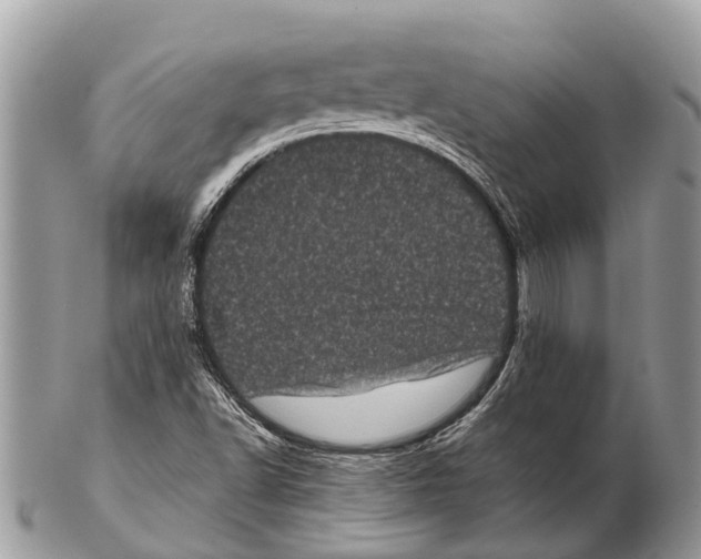 X0000102481502200809051344