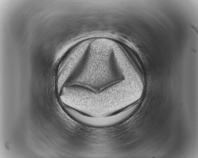 X0000102481504200809051344