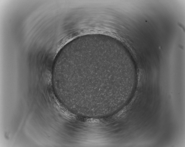 X0000102481505200809051344