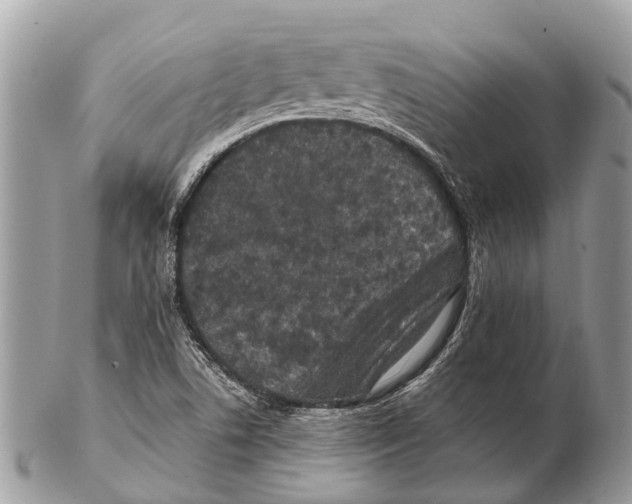 X0000102481506200809051344