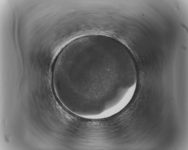 X0000102481508200809051344