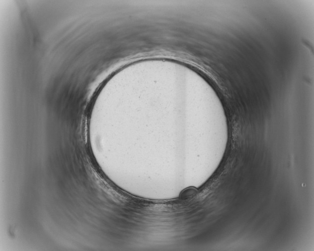 X0000102481510200809051344