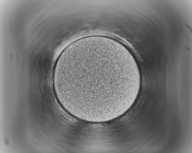 X0000102481512200809051344