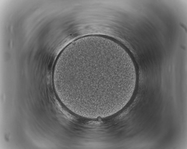 X0000102481513200809051344