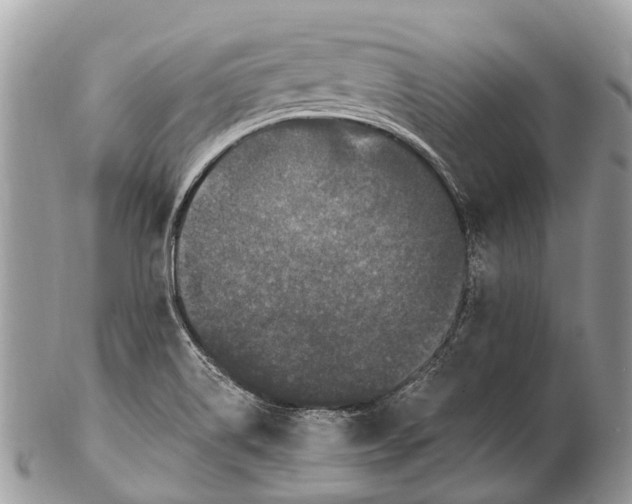 X0000102481514200809051344