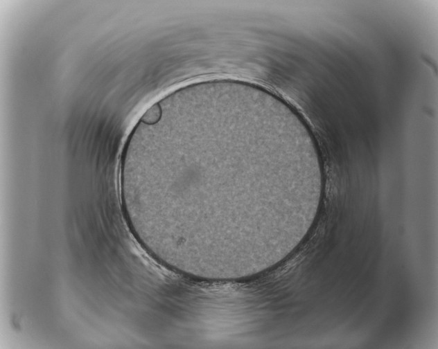 X0000102481516200809051344