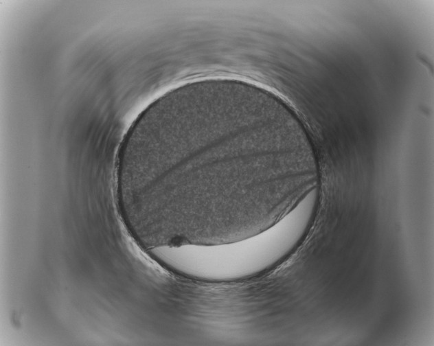 X0000102481518200809051344