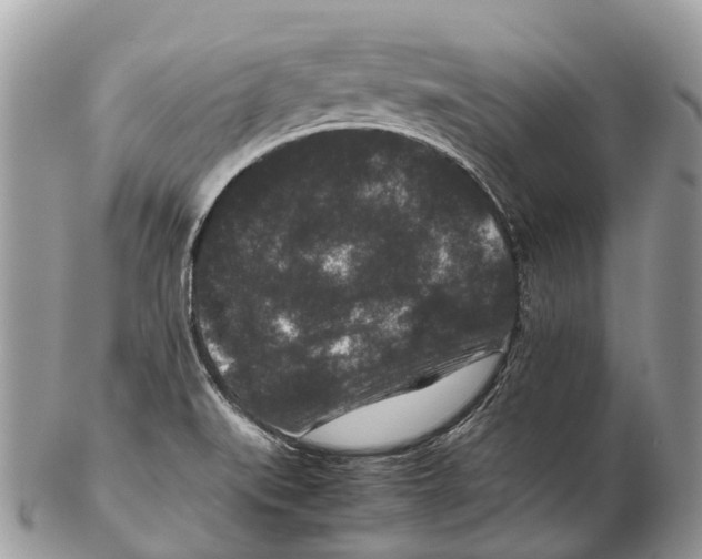 X0000102481519200809051344