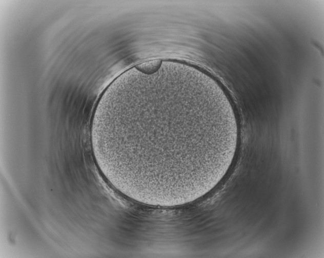 X0000102481521200809051344